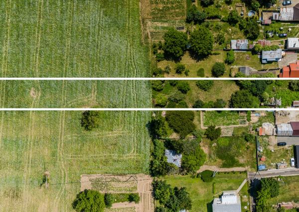 Na predaj obrovský pozemok v obci Moravany-Lučkovce v okrese Michalovce.