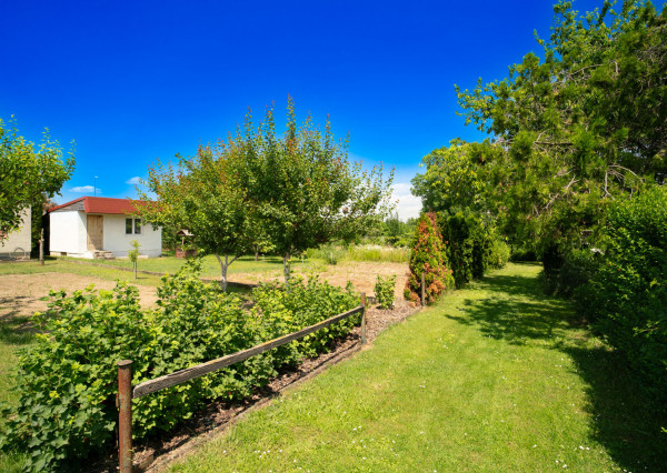 Na predaj záhradná chatka v rekreačnej oblasti v Špačinciach