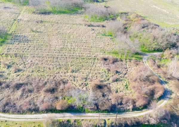 Na predaj perspektívny pozemok v Rači