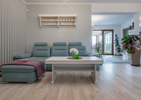 Na predaj priestranný 4-izbový rodinný dom v obci Vieska