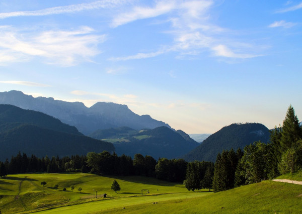 Na predaj pozemok v lokalite Plevník-Drienové