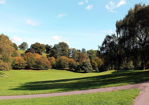 Na predaj pozemok v záhradkárskej oblasti v Košiciach - Šaca