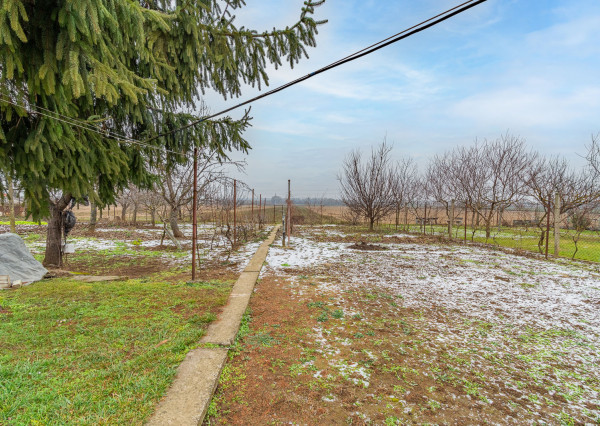 Na predaj priestranný 3-izbový rodinný dom s terasou v Šoporni