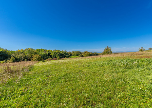Na predaj pozemok vo Vinohradoch nad Váhom