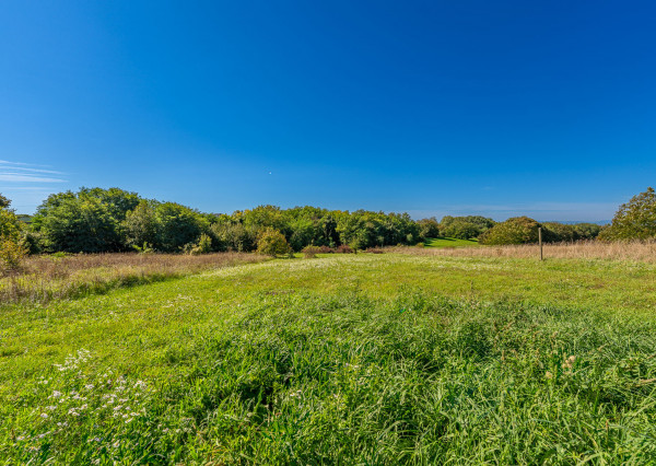 Na predaj pozemok vo Vinohradoch nad Váhom