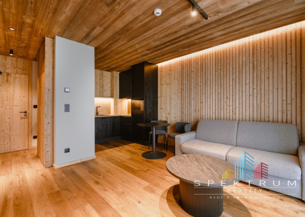 Exkluzívny  Apartmán v hotelovom komplexe s najlepším výhľadom priamo u lanovky - Apartmán Elements, Tatranská Lomnica - Vysoké Tatry