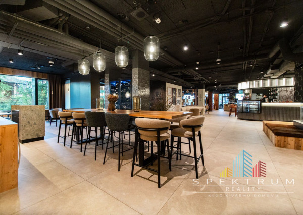 Exkluzívny  Apartmán v hotelovom komplexe s najlepším výhľadom priamo u lanovky - Apartmán Elements, Tatranská Lomnica - Vysoké Tatry