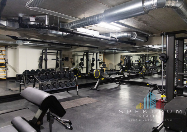 Exkluzívny  Apartmán v hotelovom komplexe s najlepším výhľadom priamo u lanovky - Apartmán Elements, Tatranská Lomnica - Vysoké Tatry