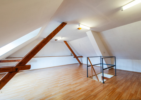 Na predaj priestranný rodinný dom s veľkým pozemkom v Loku pri Leviciach