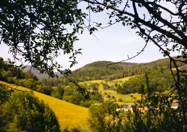 Na predaj investičný pozemok so stavebným povolením Vydrná