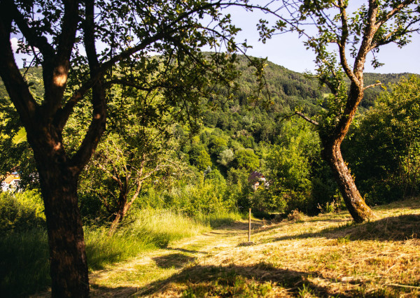 Na predaj investičný pozemok so stavebným povolením Vydrná