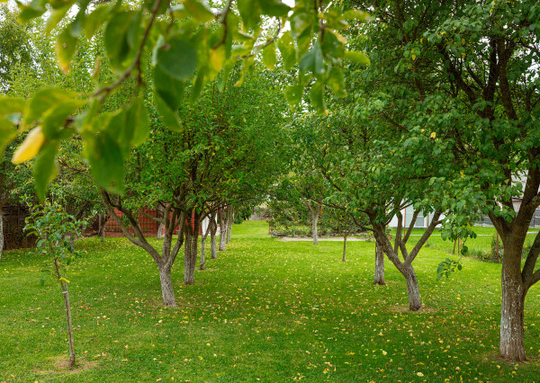 Na predaj 2-generačný rodinný dom v obci Zámutov