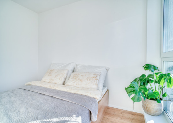 Na prenájom 1,5-izbový byt v projekte Noemis v Stupave