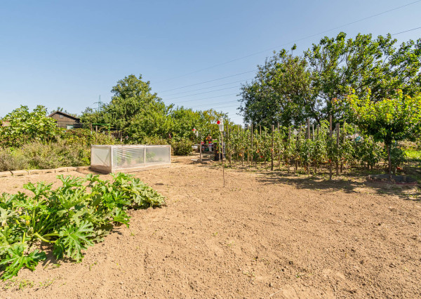 Na predaj záhrada v lokalite Sereď