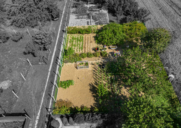 Na predaj záhrada v lokalite Sereď