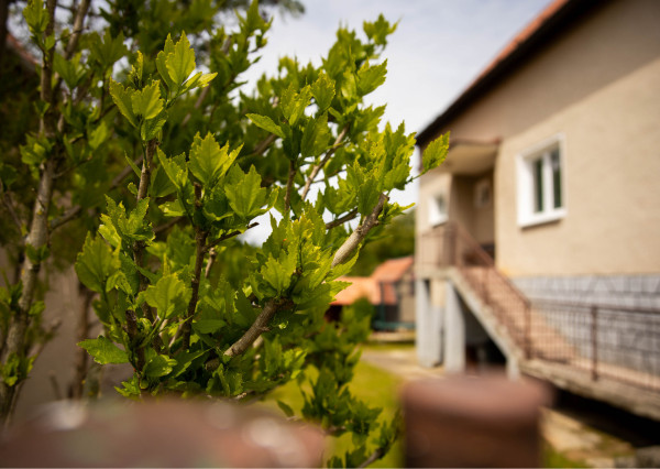 Na predaj rodinný dom v Dolnej Súči