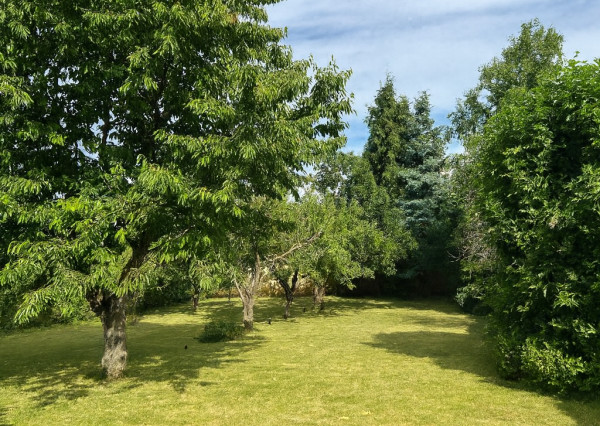 Na predaj 5- izbový rodinný dom v obci Malý Čepčín