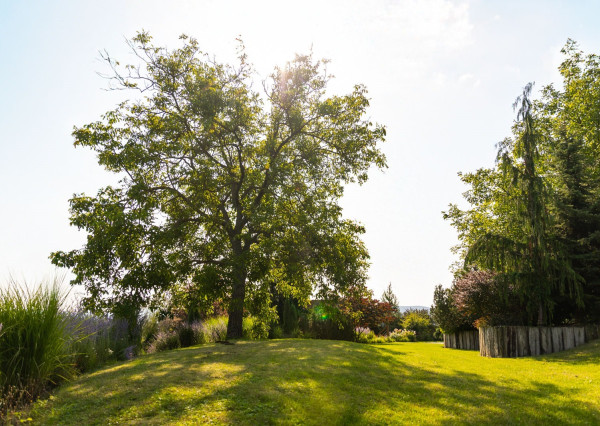 Na predaj impozantný rodinný dom v Ivanovciach