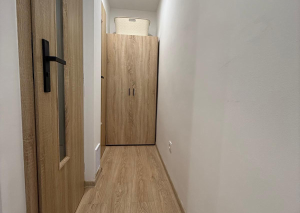 Na prenájom 1-izbový byt ulica Osvienčimská, Sihoť II