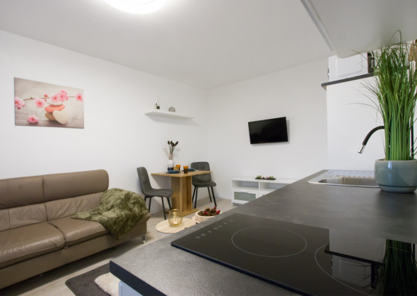 Na predaj investičný 1-izbový  byt Bratislave-Dúbravka