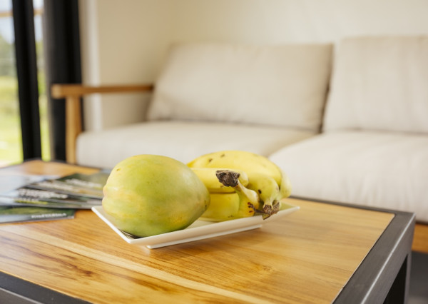 Na predaj pozemok v Kostarike na polostrove Osa