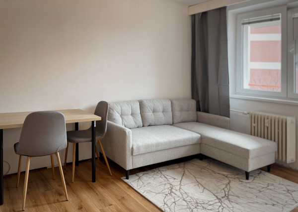 Na prenájom zrekonštruovaný 1-izbový byt, Nové Mesto - Bratislava