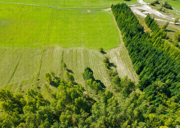 Na predaj rovinatý pozemok v obci Šútovo