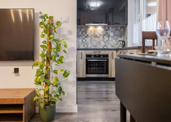 Na prenájom zariadený 1,5-izbový byt s loggiou v Košiciach