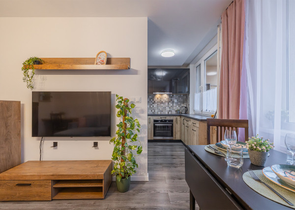 Na prenájom zariadený 1,5-izbový byt s loggiou v Košiciach