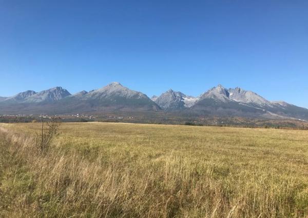 Nová Lesná / Vysoké Tatry -stavebné pozemky na predaj - 39 parciel , výmera 32 300m2