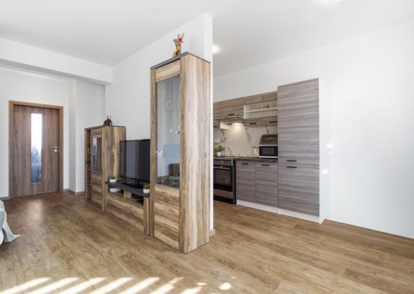 Na predaj 2 - izbový byt v obci Dvorníky