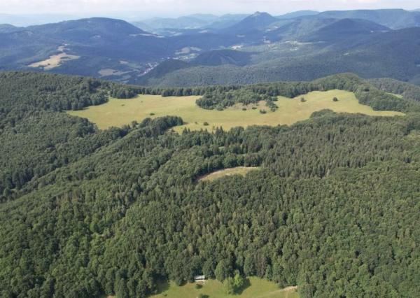 Exkluzívna ponuka Pozemkov (lesy, pasienky, lúky) v k.ú. Šípkov, okr. Bánovce n/B