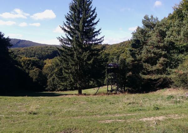 Exkluzívna ponuka Pozemkov (lesy, pasienky, lúky) v k.ú. Šípkov, okr. Bánovce n/B