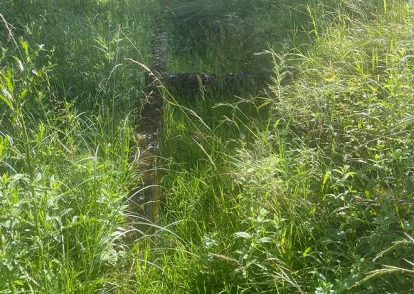 Exkluzívna ponuka Pozemkov (lesy, pasienky, lúky) v k.ú. Šípkov, okr. Bánovce n/B