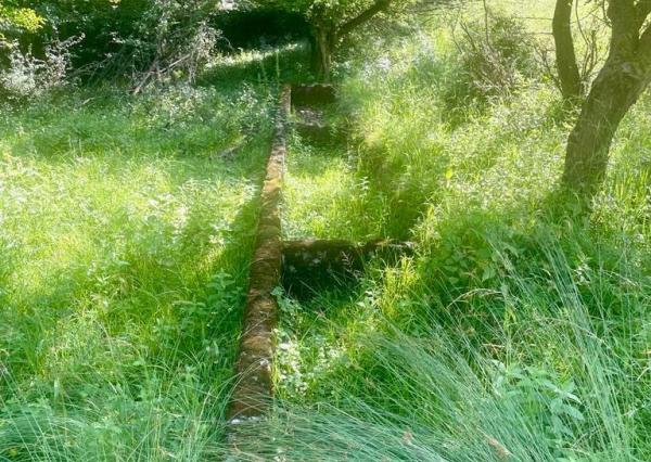 Exkluzívna ponuka Pozemkov (lesy, pasienky, lúky) v k.ú. Šípkov, okr. Bánovce n/B