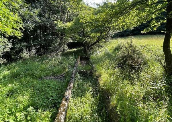 Exkluzívna ponuka Pozemkov (lesy, pasienky, lúky) v k.ú. Šípkov, okr. Bánovce n/B