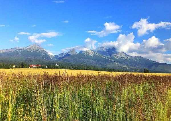 Na predaj chaty Stará Lesná – Tatranský dvor III