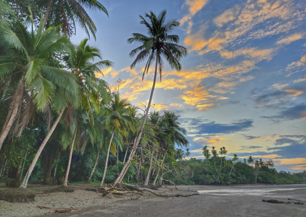 Na predaj investičná 3-izbová vila na polostrove Osa na Kostarike