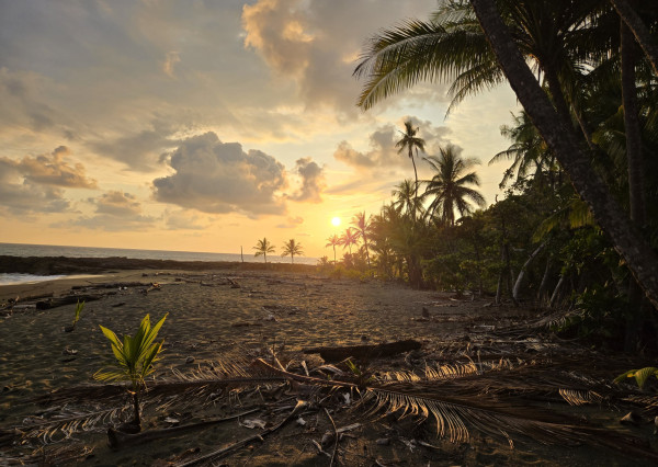 Na predaj tropická vila s možnosťou rezidentúry na polostrove Osa na Kostarike