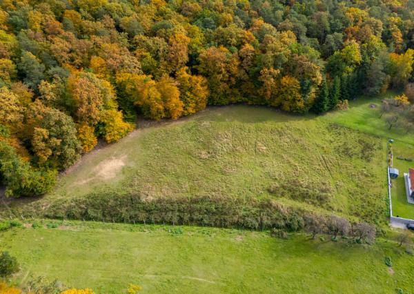 Lukratívna ponuka pozemku v obci Brezolupy 8040m2