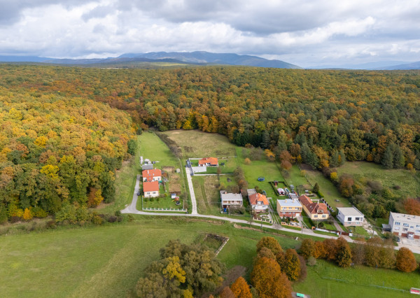 Lukratívna ponuka pozemku v obci Brezolupy 8040m2
