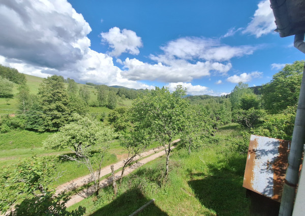 Na predaj dom v lese, blízko mesta Kokava nad Rimavicou