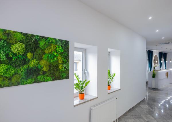 Zubná ambulancia pripravená na okamžité prevádzkovanie v Prešove