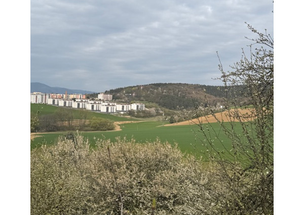 Na predaj pozemok v záhradkárskej oblasti Chrásť - Trenčín