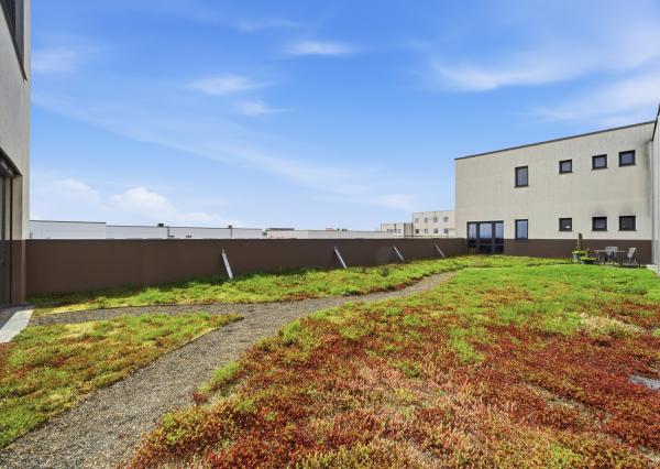 Na prenájom dve kancelárie na Zavarskej ulici v Trnave