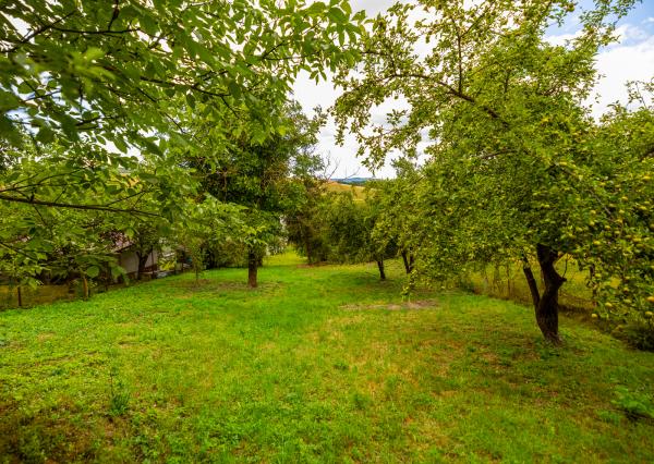 Na predaj rodinný dom s veľkým pozemkom len 7 km od Vranova – obec Merník