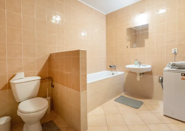 Na prenájom 1-izbový byt v širšom centre Šamorína