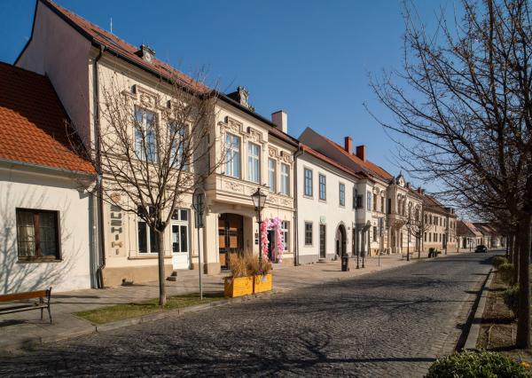 Na prenájom štýlový 3-izbový mezonet v historickom centre Trnavy