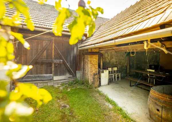 Na predaj priestranný vidiecky dom v obci Helcmanovce