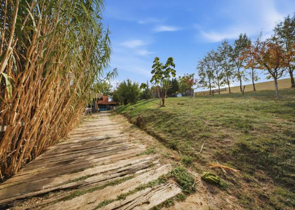 Na predaj gazdovský dom a biofarma na samote v obci Pastuchov